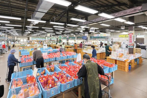 久留米・うきは周遊サイクリング にじの耳納の里08（横）