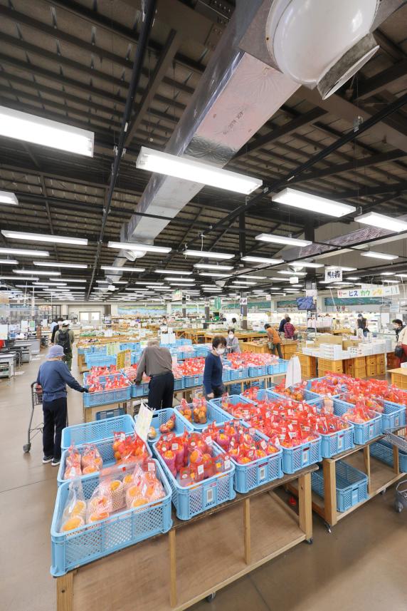 久留米・うきは周遊サイクリング にじの耳納の里09（縦）