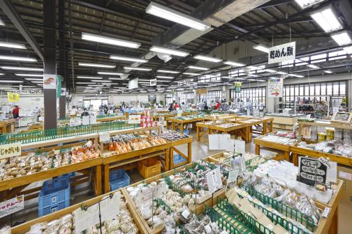 久留米・うきは周遊サイクリング にじの耳納の里11