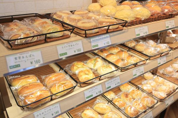 久留米・うきは周遊サイクリング にじの耳納の里16（横）