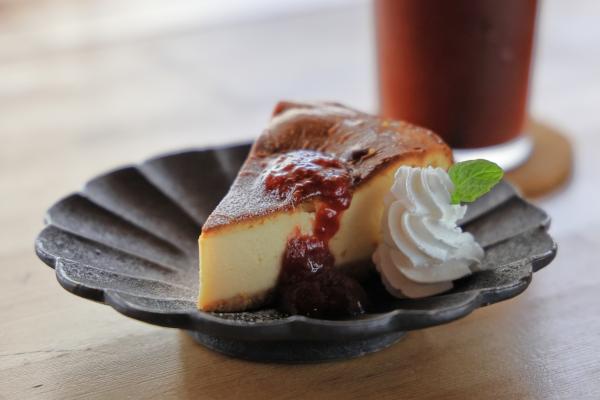 宗像・志賀島サイクリング シカシマサイクル14（横）