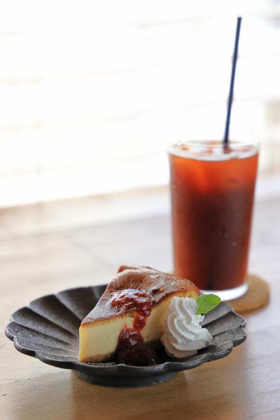 宗像・志賀島サイクリング シカシマサイクル15（縦）