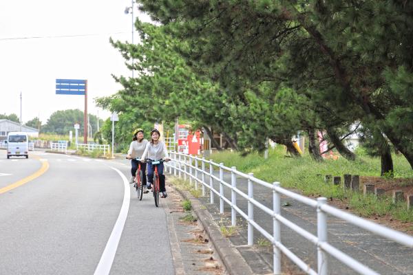 宗像・志賀島サイクリング 福間海岸松林01（横）