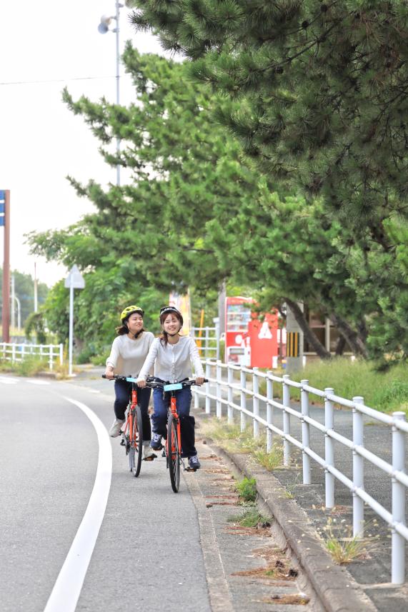 宗像・志賀島サイクリング 福間海岸松林02（縦）