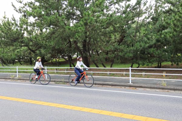 宗像・志賀島サイクリング 福間海岸松林03