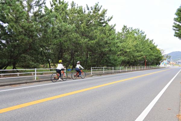 宗像・志賀島サイクリング 福間海岸松林04