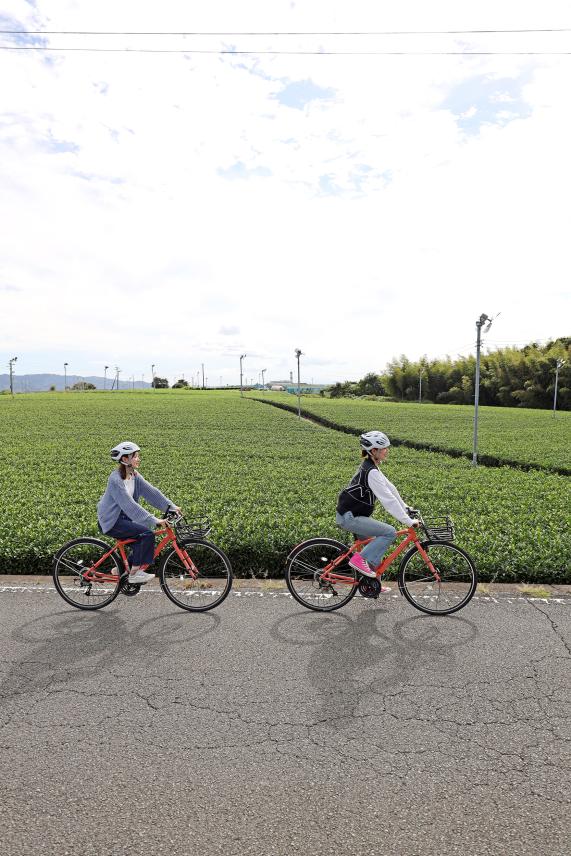 筑後周遊サイクリング 八女中央茶園近郊（茶畑）02（縦）