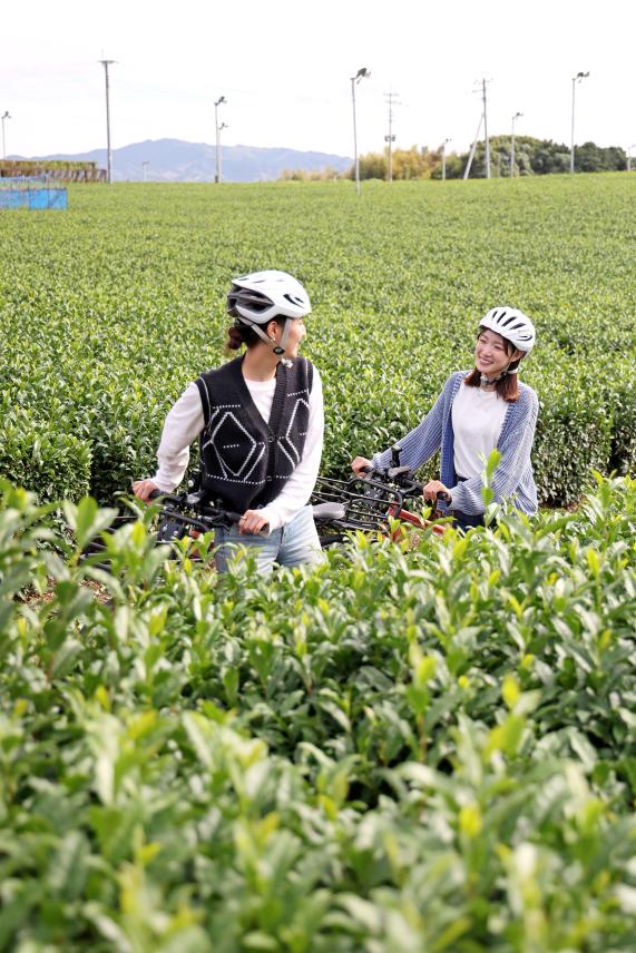筑後周遊サイクリング 八女中央茶園近郊（茶畑）06（縦）
