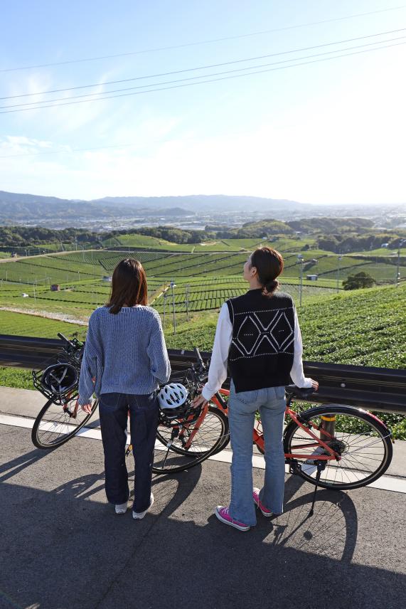 筑後周遊サイクリング 八女中央茶園近郊（茶畑）10（縦）