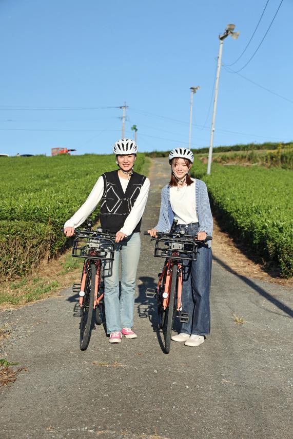 筑後周遊サイクリング 八女中央茶園近郊（茶畑）16（縦）