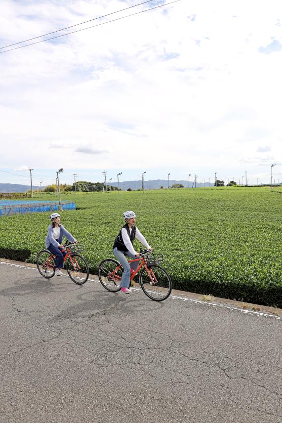 筑後周遊サイクリング 八女中央茶園近郊（茶畑）22（縦）