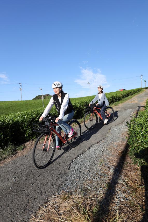 筑後周遊サイクリング 八女中央茶園近郊（茶畑）27