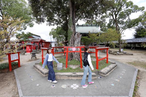 筑後周遊サイクリング 水田天満宮・恋木神社21（横）