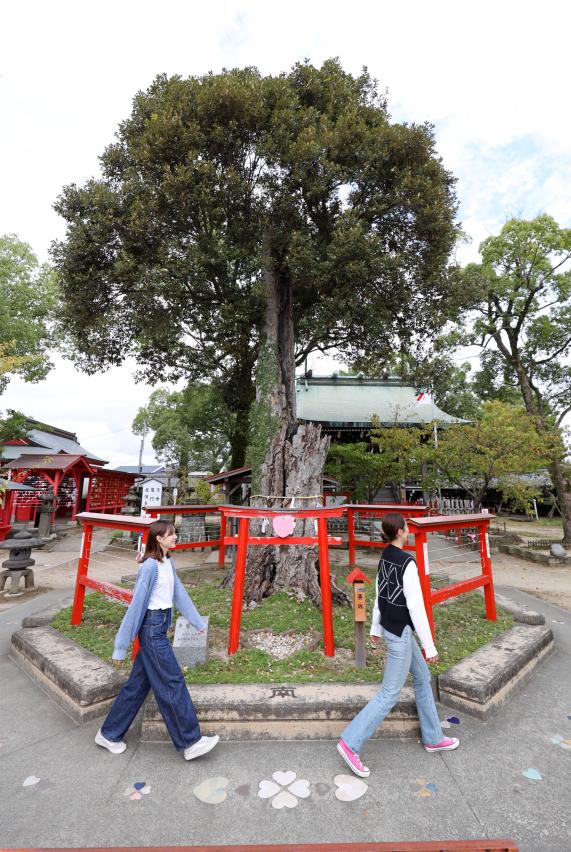 筑後周遊サイクリング 水田天満宮・恋木神社22（縦）
