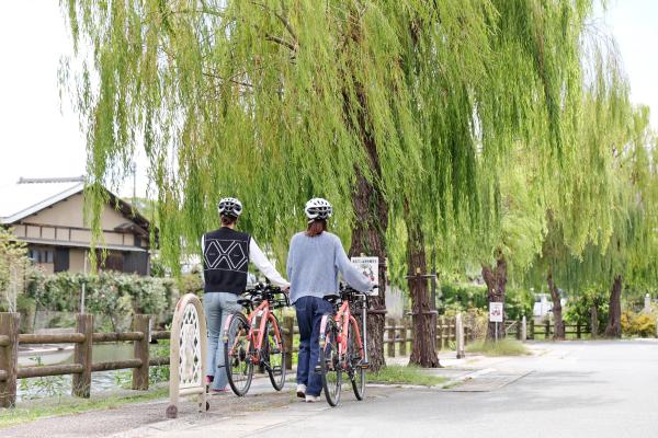 筑後周遊サイクリング 水郷柳川めぐり22