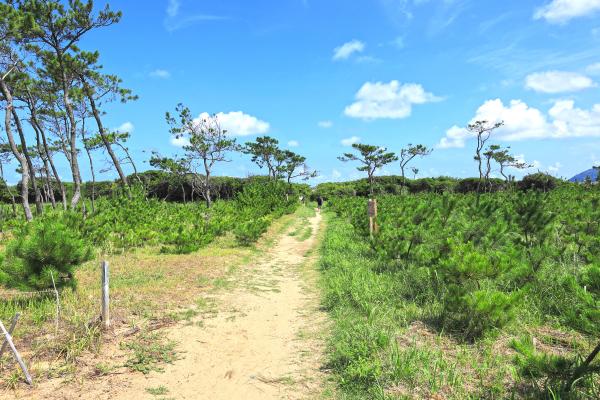 福岡・糸島サイクリング 幣の浜03
