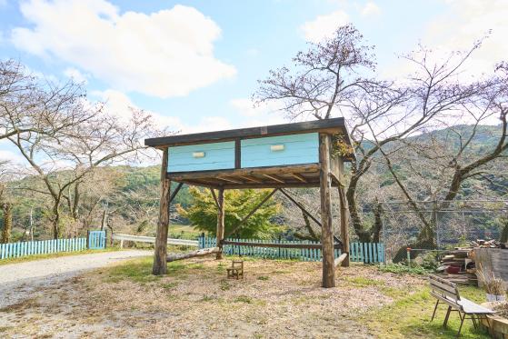 豊前・東峰サイクリング 大きな机（もみじ学舎）01（横）