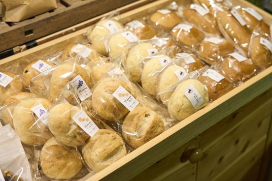 豊前・東峰サイクリング 茶房山帰来15（横）