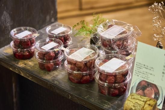 豊前・東峰サイクリング 茶房山帰来18（横）