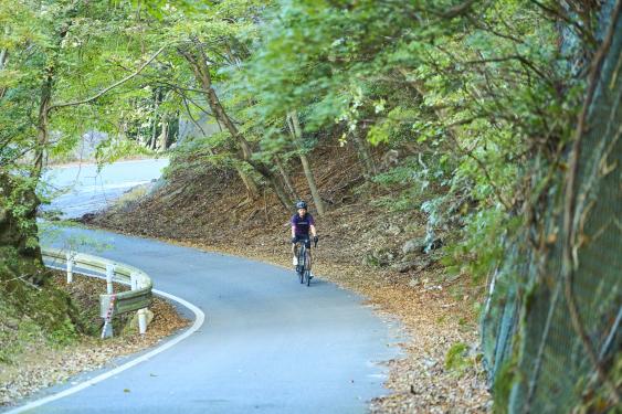 豊前・東峰サイクリング 国道500号線01（横）