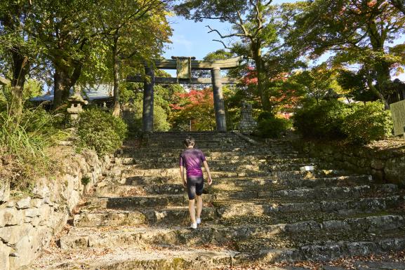 豊前・東峰サイクリング 英彦山神宮 銅鳥居21（横）