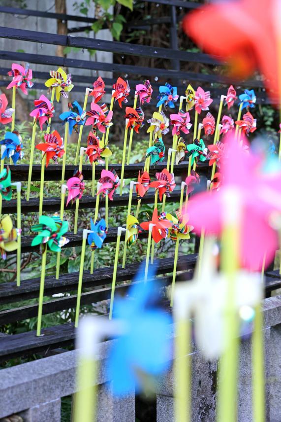 筑豊周遊サイクリング 三井寺（平等寺）04（縦）