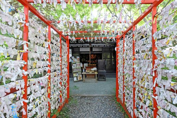 筑豊周遊サイクリング 三井寺（平等寺）18（横）