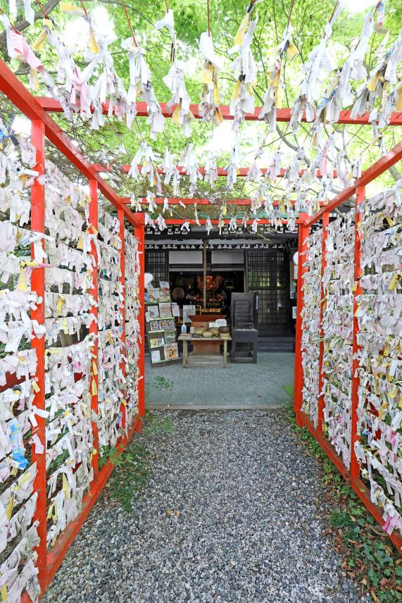 筑豊周遊サイクリング 三井寺（平等寺）19（縦）