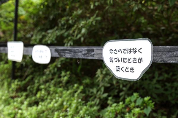 筑豊周遊サイクリング 三井寺（平等寺）39（横）