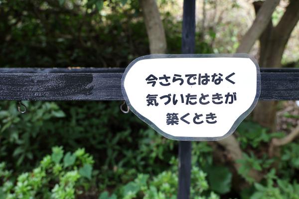 筑豊周遊サイクリング 三井寺（平等寺）40（横）