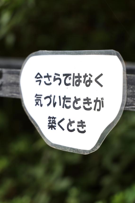 筑豊周遊サイクリング 三井寺（平等寺）41（縦）