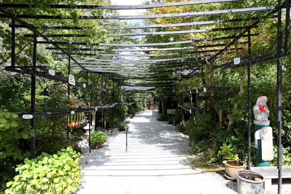 筑豊周遊サイクリング 三井寺（平等寺）44（横）