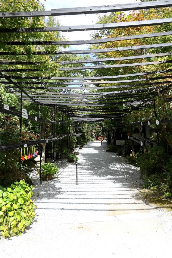 筑豊周遊サイクリング 三井寺（平等寺）45（縦）