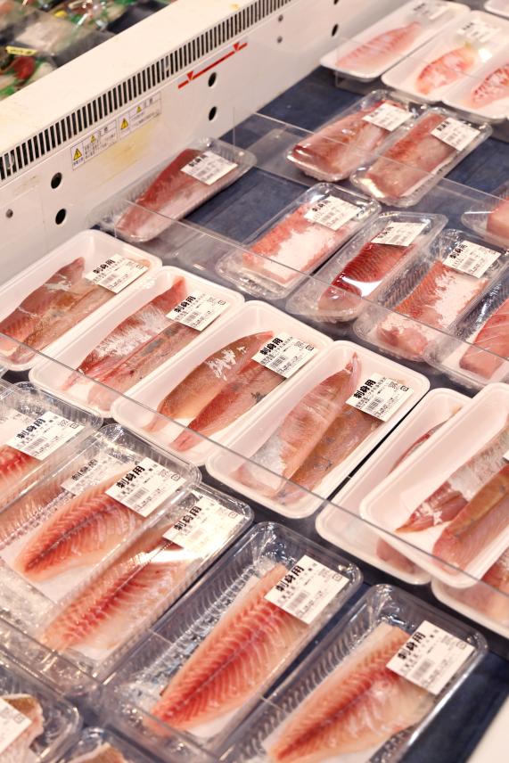 北九州（門司）・芦屋サイクリング お魚直売所 とと市場32（縦）