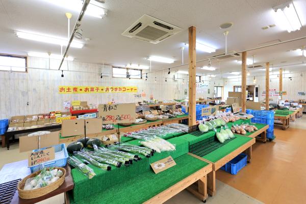 北九州（門司）・芦屋サイクリング お魚直売所 とと市場41（横）