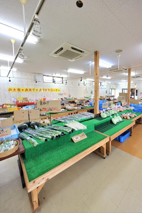 北九州（門司）・芦屋サイクリング お魚直売所 とと市場42（縦）