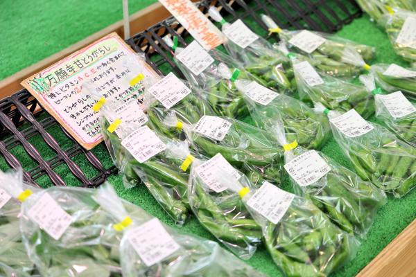 北九州（門司）・芦屋サイクリング お魚直売所 とと市場43（横）
