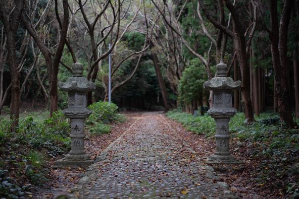 樱井神社