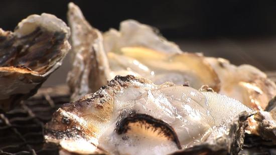 丰前海大粒牡蛎