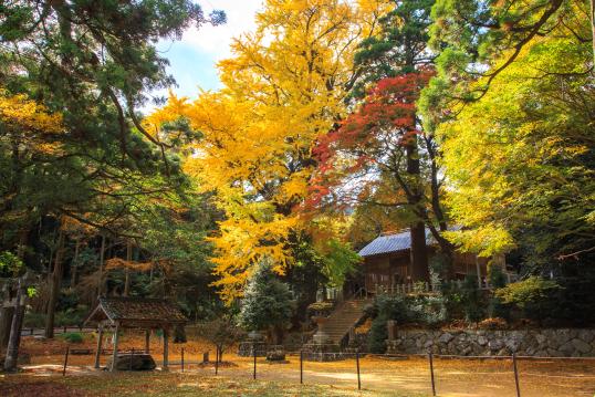 Ikazuchi Shrine(3)