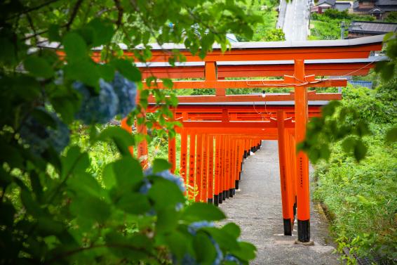 Ukiha Inari Shrine06