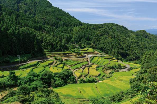 Ukiha Forest Therapy (Tsuzura terraced paddy fields)