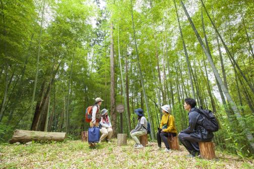 Ukiha Forest Therapy 