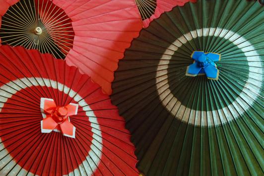 Chikugo Japanese Umbrellas02