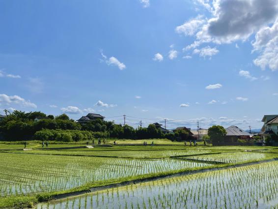 Kyushu Olle Chikuho Kawara Course (Rice paddle field_1)