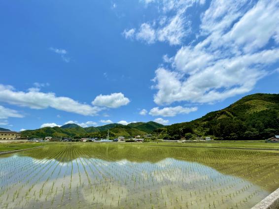 Kyushu Olle Chikuho Kawara Course (Rice paddle field_2)