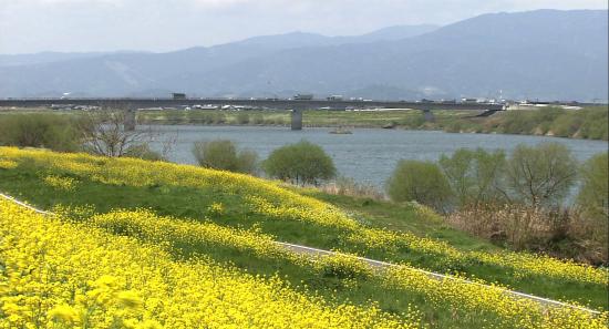 Chikugo River01