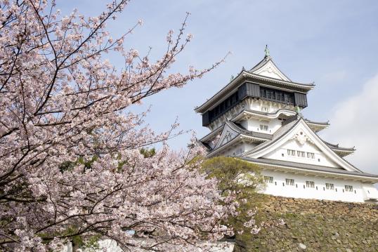Kokura Castle (Cherry Blossoms)01