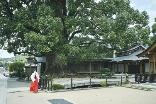 Dazaifu Tenmangu Shrine07