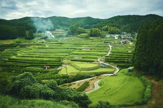 Rice Terrace in Hoshino Village01